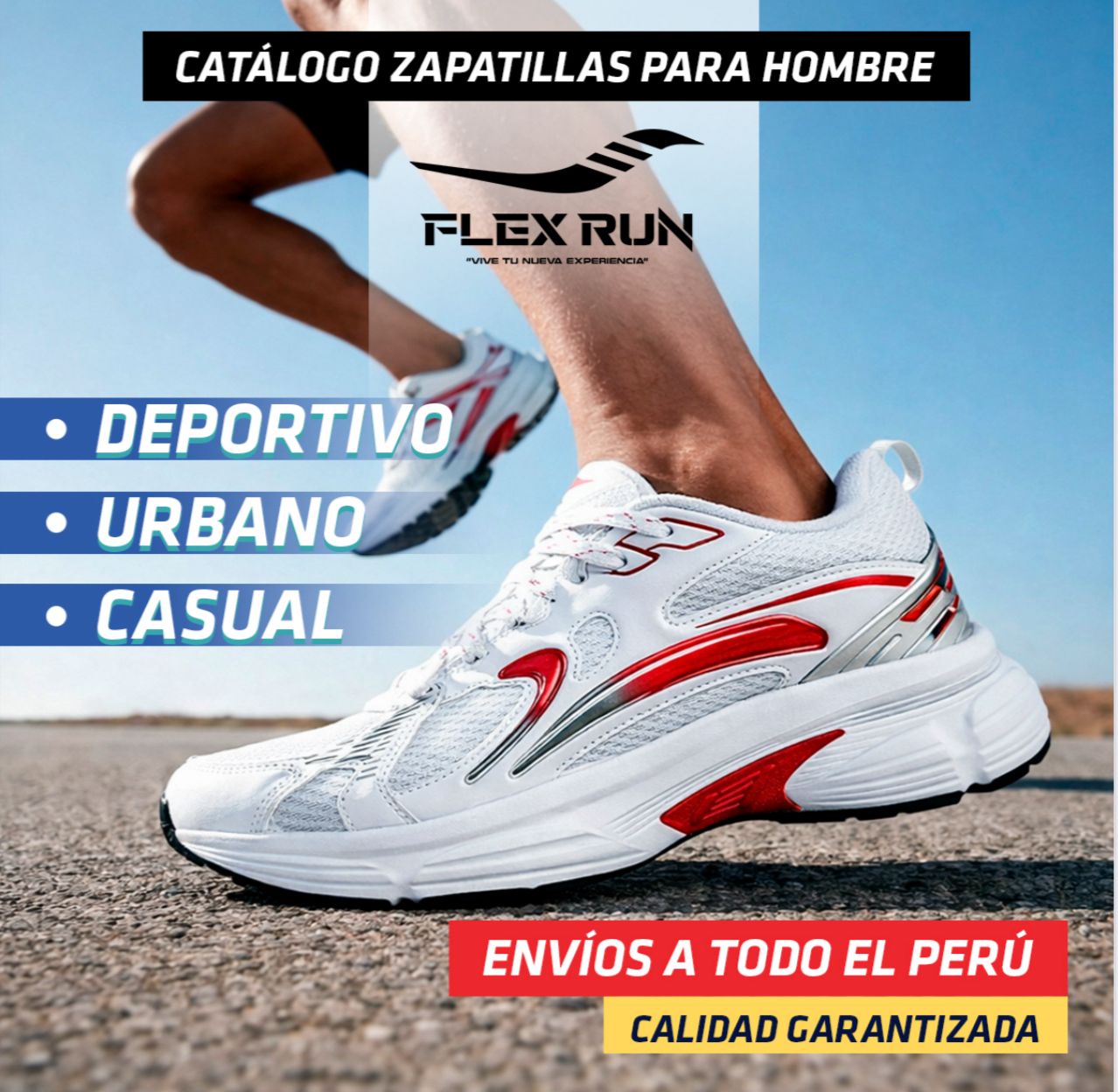 Colección de Zapatillas para Hombre Flex Run