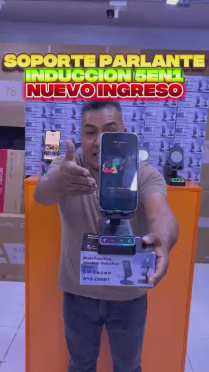 Amplificador de sonido 5 en 1